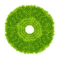 Green grass circle frame isolated Royalty Free Stock Photo