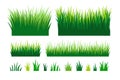 Green grass collection. landscape design herb element set.