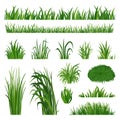 Green grass collection. Yard lawn border, herbal natural turf. Summer spring flora elements. Field silhouette plant
