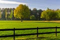 Green grass and colorful trees surrounded by a wooden fence on a golf course at sunny morning in Belgrade Royalty Free Stock Photo