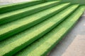 Green grass on concrete stairs for nature theme decoration concept Royalty Free Stock Photo