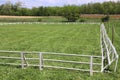 Green grass covered equestrian horse arena