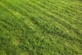 Green Grass cut short lawn Royalty Free Stock Photo