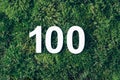 Green grass, digit one hundred. Birthday greeting card with inscription 100. Anniversary concept. Top view. White Royalty Free Stock Photo