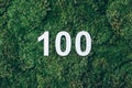 Green grass, digit one hundred. Birthday greeting card with inscription 100. Anniversary concept. Top view. White Royalty Free Stock Photo