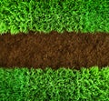 Green grass and earth Background Royalty Free Stock Photo