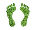 Green grass ecological footprint concept Royalty Free Stock Photo