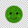 Green grass face smile. Smiley grassy icon, isolated white background. Ecology concept. Happy smiling sign. Symbol eco Royalty Free Stock Photo