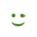 Green grass face wink smile. Smiley grassy emoticon icon, isolated white background. Happy smiling sign. Symbol ecology
