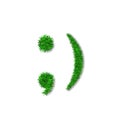 Green grass face wink smile. Smiley grassy emoticon icon, isolated white background. Happy smiling sign. Symbol ecology