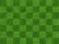 Green grass field background for soccer and football sports. Green lawn pattern and texture background. Close-up Royalty Free Stock Photo