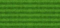 Green grass field background for soccer and football sports. Green lawn pattern and texture background. Close-up Royalty Free Stock Photo