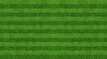 Green grass field background for soccer and football sports. Green lawn pattern and texture background. Close-up