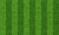 Green grass field background for soccer and football sports. Green lawn pattern and texture background. Close-up Royalty Free Stock Photo