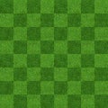 Green grass field background for soccer and football sports. Green lawn pattern and texture background. Close-up Royalty Free Stock Photo