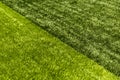 Green grass field background, texture, pattern Royalty Free Stock Photo