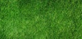 Green grass field for background or wallpaper Royalty Free Stock Photo
