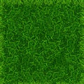 Green Grass Field Banner Football Place Background. Vector Royalty Free Stock Photo