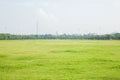 Green grass field in big city park on the morning