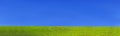 Green grass field and blue clear sky Royalty Free Stock Photo