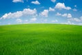 green grass field with blue sky ad white cloud. nature landscape background Royalty Free Stock Photo