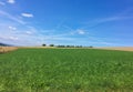 Green field with trees on hill and blue sky Royalty Free Stock Photo