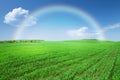 Green grass field, blue sky with rainbow Royalty Free Stock Photo