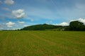 Green grass field blue sky and small hill Royalty Free Stock Photo
