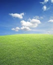 Green grass field with blue sky and white cloud, Nature background Royalty Free Stock Photo