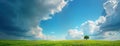 Green grass field, blue sky with white and dark clouds. Single tree in middle of landscape. Hope, peace, freedom, transcendence