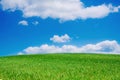 Green field and bright blue cloudy sky nature background Royalty Free Stock Photo