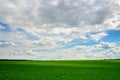 Green grass field and bright blue sky background