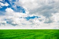 Green grass field and bright blue sky background Royalty Free Stock Photo