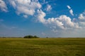 Green grass field and bright blue sky.