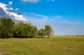 Green grass field and bright blue sky.