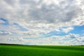 Green grass field and bright blue sky background Royalty Free Stock Photo