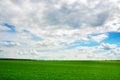 Green grass field and bright blue sky background Royalty Free Stock Photo