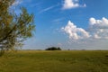 Green grass field and bright blue sky. Background. Royalty Free Stock Photo