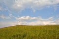 Green grass field and bright blue sky