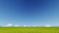 Green grass field and bright blue sky 3D rendering Royalty Free Stock Photo