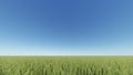 Green grass field and bright blue sky 3D rendering Royalty Free Stock Photo