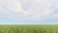 Green grass field and bright blue sky 3D rendering Royalty Free Stock Photo