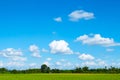 Green grass field and bright blue sky Royalty Free Stock Photo