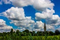 Green grass field Royalty Free Stock Photo