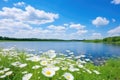 Green grass field, clean river and blue sky with clouds. AI Generated Royalty Free Stock Photo