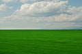 Green grass field with cloudy blue sky