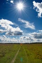 Green Grass Field in Countryside Under Midday Sun