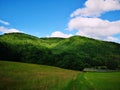Green grass field and forested hill with blue skies Royalty Free Stock Photo
