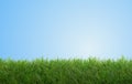 Green grass field garden blue sky 3d-illustration