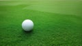 Green grass field, green lawn. Green grass for golf course, soccer, football, sport. Green turf grass texture and background for Royalty Free Stock Photo